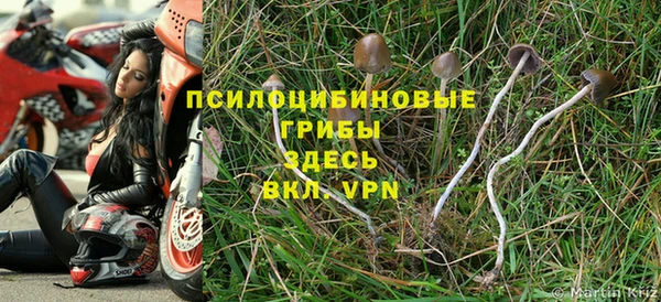 синтетический гашиш Тихорецк